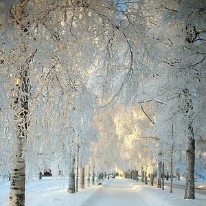 Meet your Posher, Don